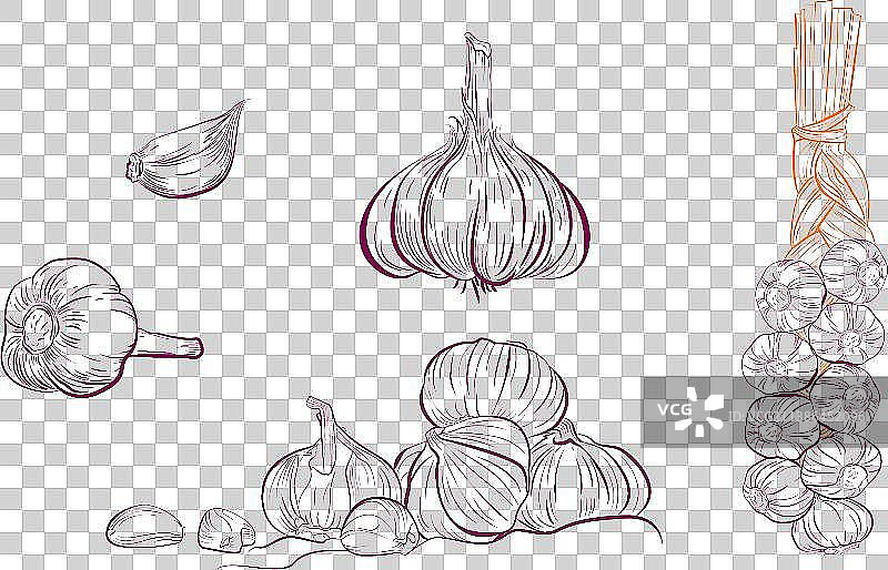 大蒜素材图片素材