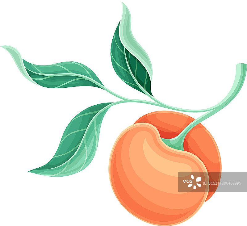 带有绿叶的成熟多汁的桃子图片素材