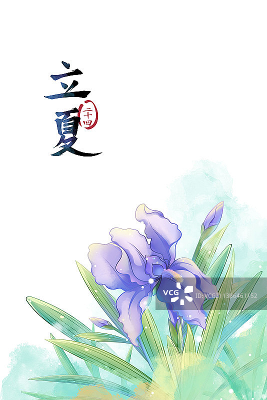 立夏——鸢尾花，古风水彩二十四节气系列唯美花卉插画图片素材