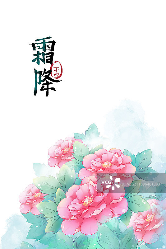 霜降——芙蓉花，古风水彩二十四节气系列唯美花卉插画图片素材