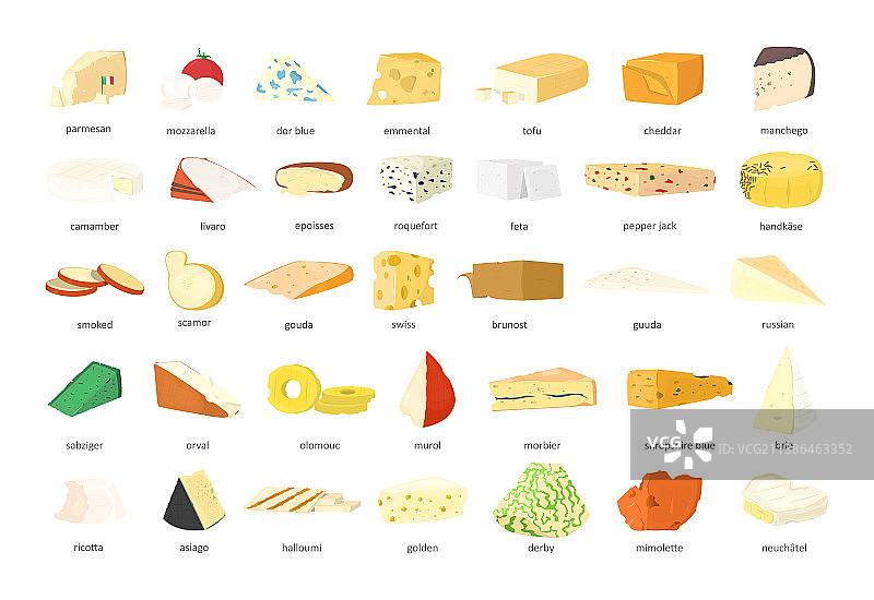 逼真奶酪套装图片素材