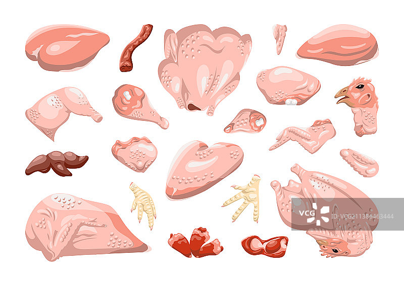 逼真风格的鸡肉部位素材图片素材