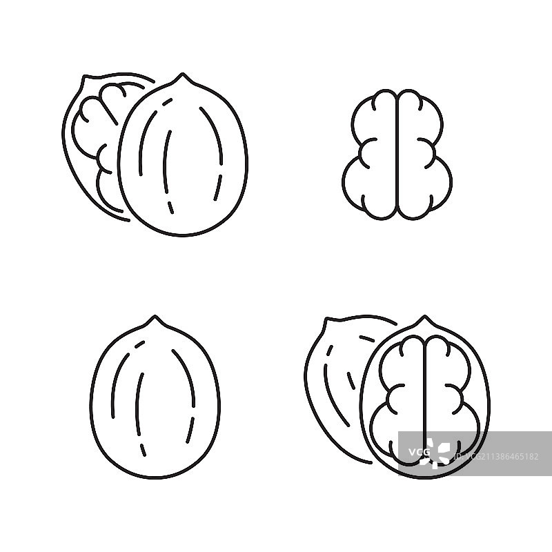 核桃线性图标合集图片素材