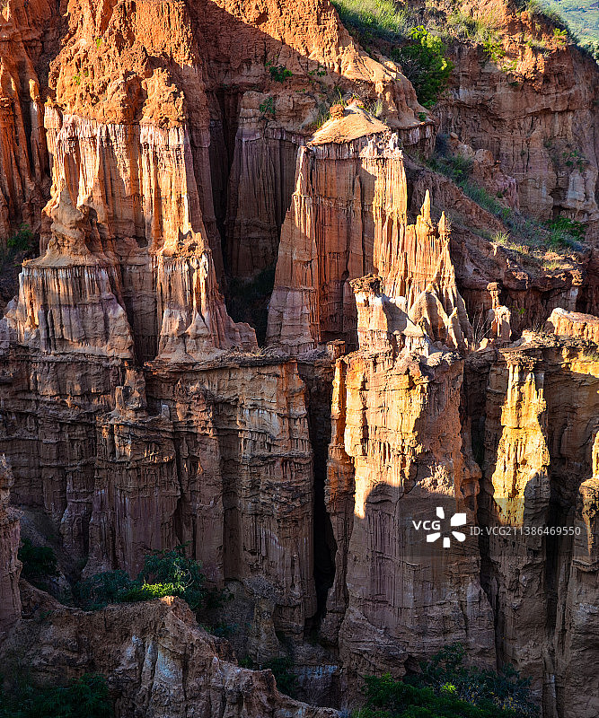 物茂土林图片素材