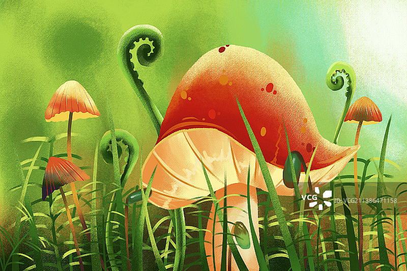 森系小清新蘑菇植物插画图片素材