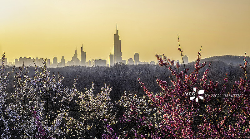 春到金陵--从梅花山远眺南京主城区图片素材