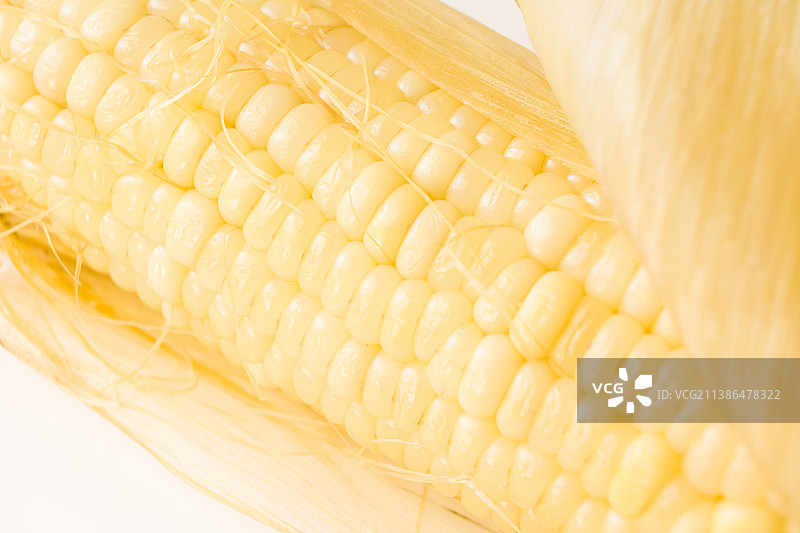 玉米特写图片素材