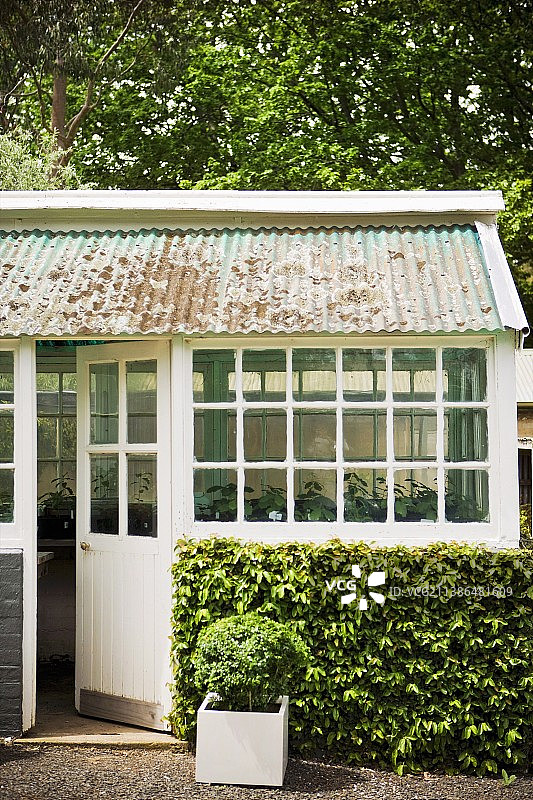 灌木丛和白色小屋前的盆栽植物图片素材