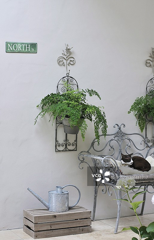 金属洒水壶和金属框架椅子图片素材