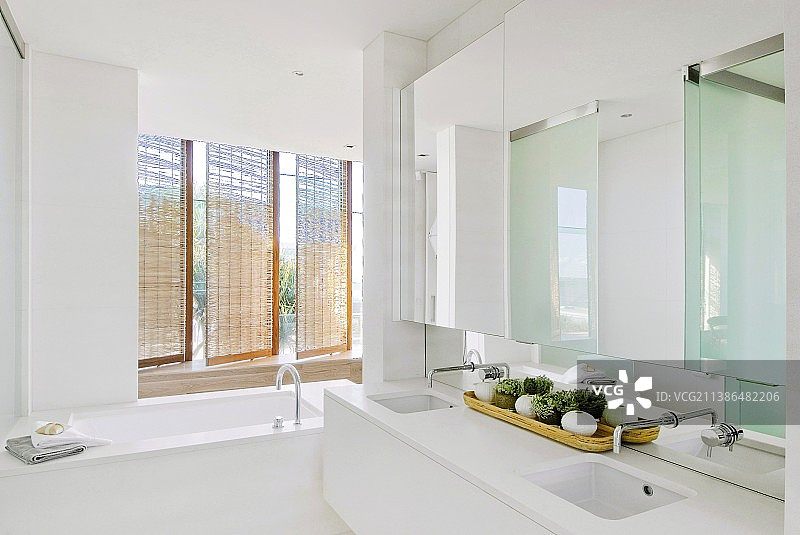 配有双洗漱台和浴缸的简约浴室图片素材