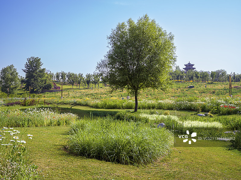 长治市漳泽湖国家湿地公园风光图片素材