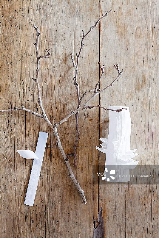 木质表面上的树枝和白色花瓶图片素材