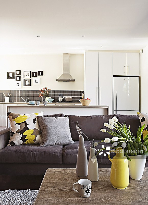 开放式厨房前咖啡桌上的沙发和花瓶图片素材