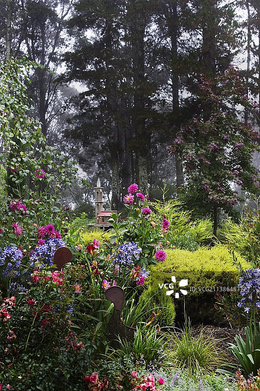 以建筑雕塑为背景的开花园图片素材