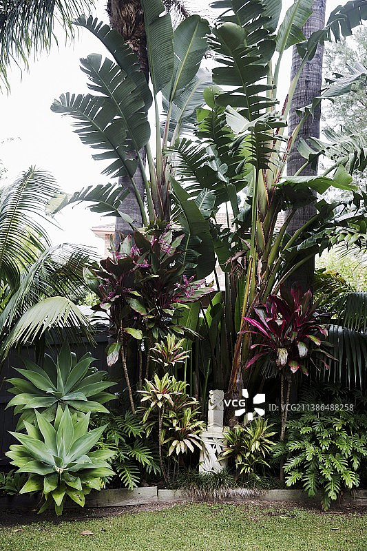 带有石雕和草坪的热带花园图片素材