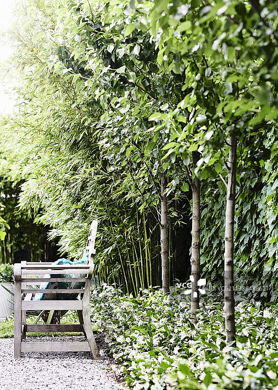 花园长椅与树木图片素材