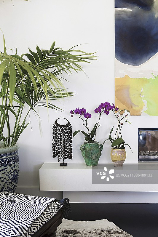 棕榈树旁白色矮柜上的兰花图片素材