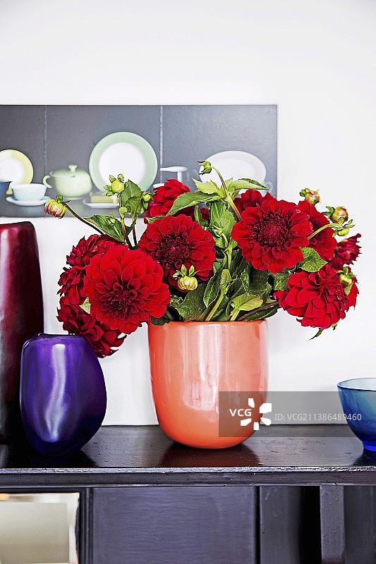 珊瑚色花瓶中的红色大丽花花束图片素材