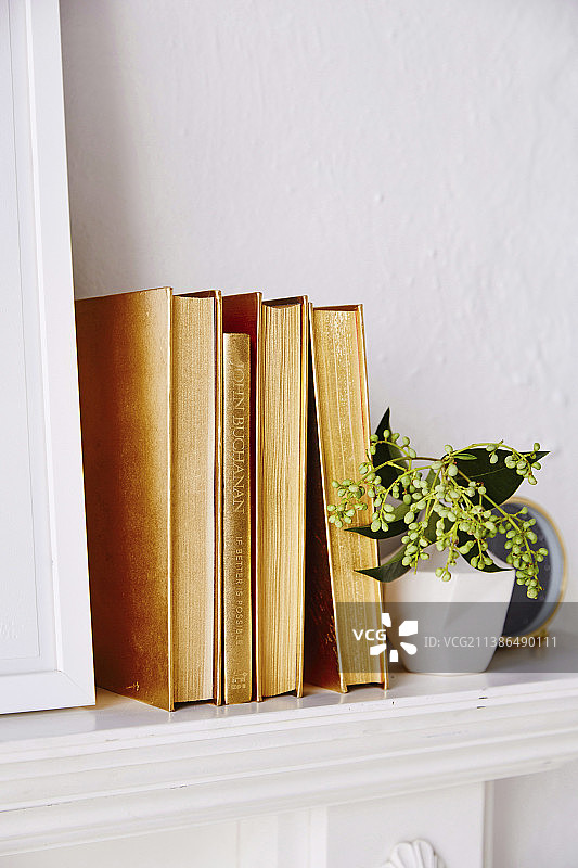 洒有金色亮片的旧书图片素材