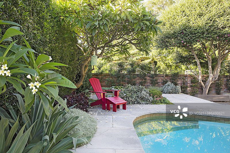 夏季花园泳池旁的红色躺椅图片素材