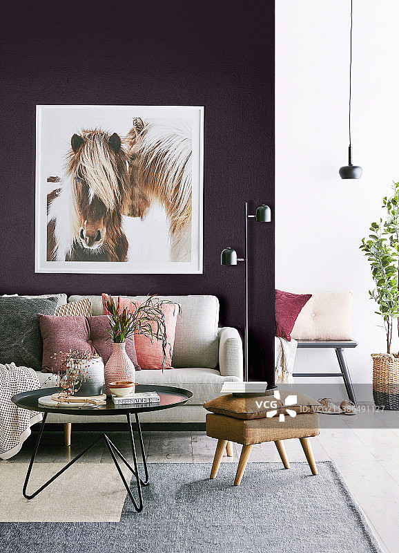 紫色墙壁上的骏马图：女性化客厅设计图片素材