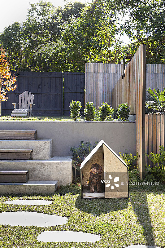现代花园中带有两层的狗屋图片素材