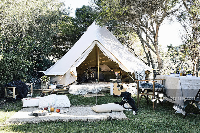 花园帐篷前的野餐垫和枕头图片素材