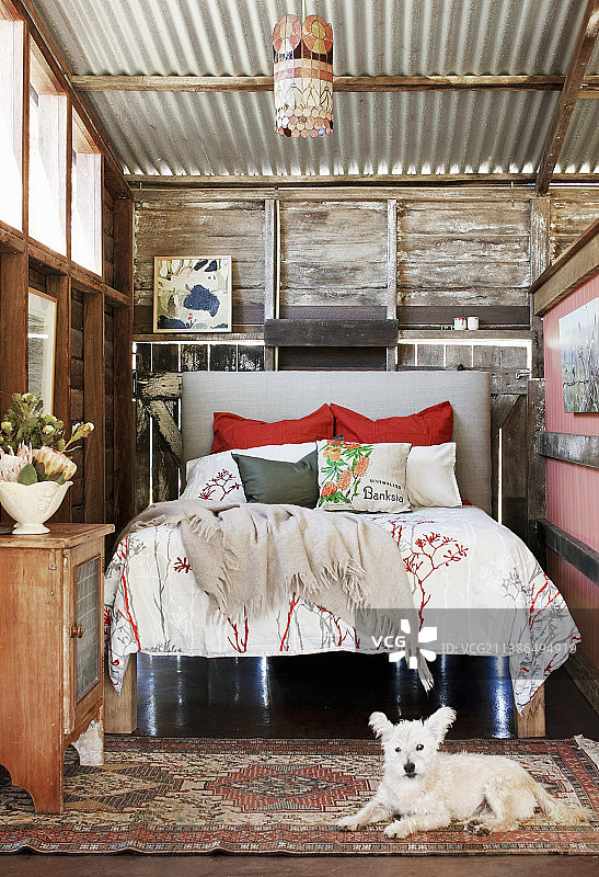 狗狗在改造谷仓的床前休息图片素材