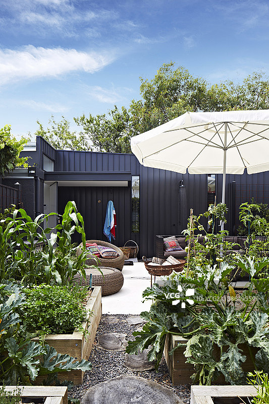 从菜园望向带有户外家具和壁炉的露台图片素材