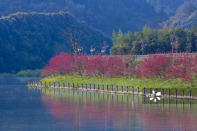 桃花坝晨光图片素材