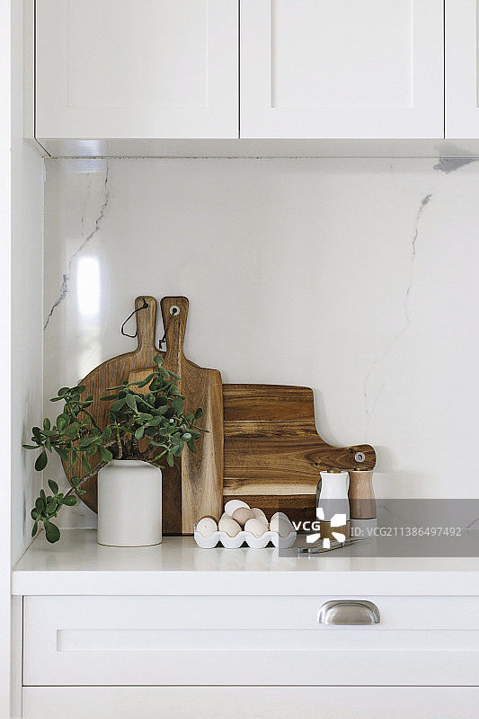 白色橱柜上的绿色植物、新鲜鸡蛋、盐和胡椒粉瓶及木板图片素材