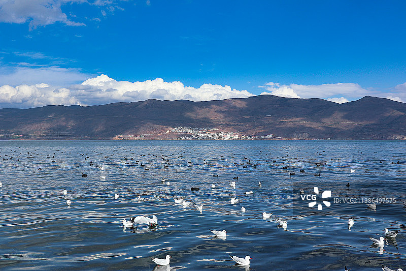 湿地风光图片素材