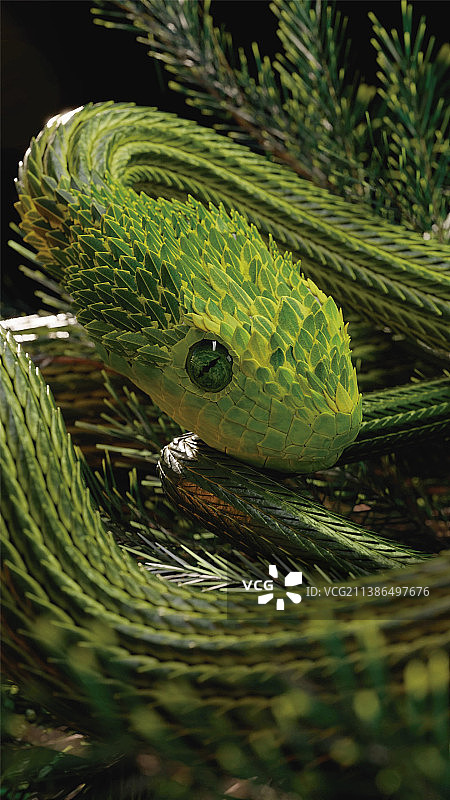 伊拉克绿蛇的特写图片素材