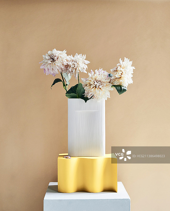 白色花瓶中的大丽花图片素材