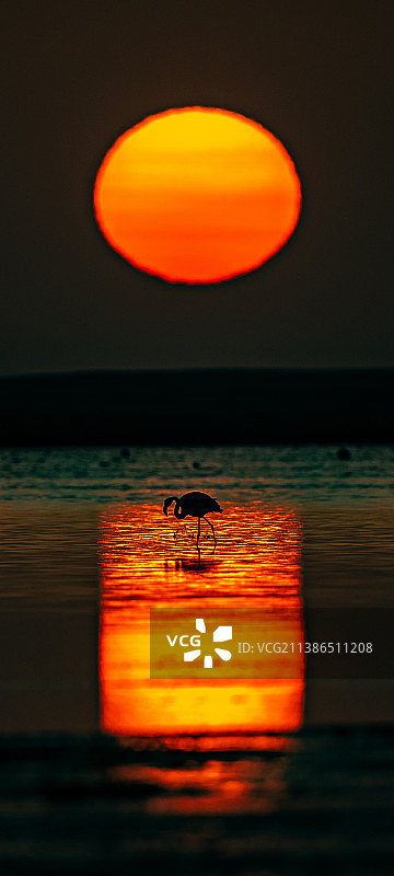 湿地风光图片素材