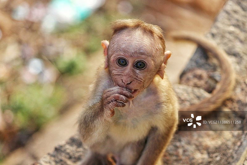 哦，他在给我拍照图片素材