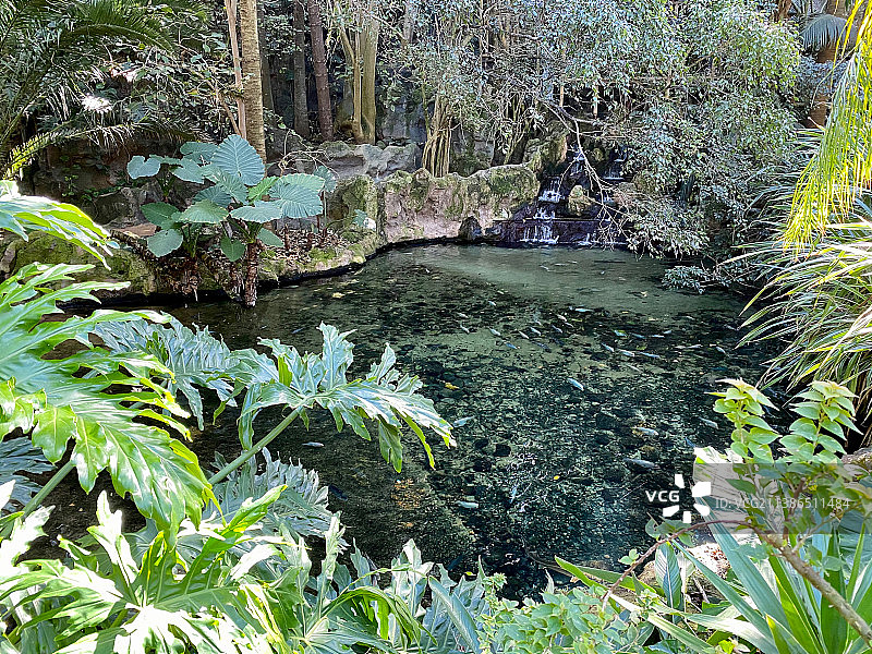 西班牙加那利群岛克鲁斯港森林湖泊风光图片素材
