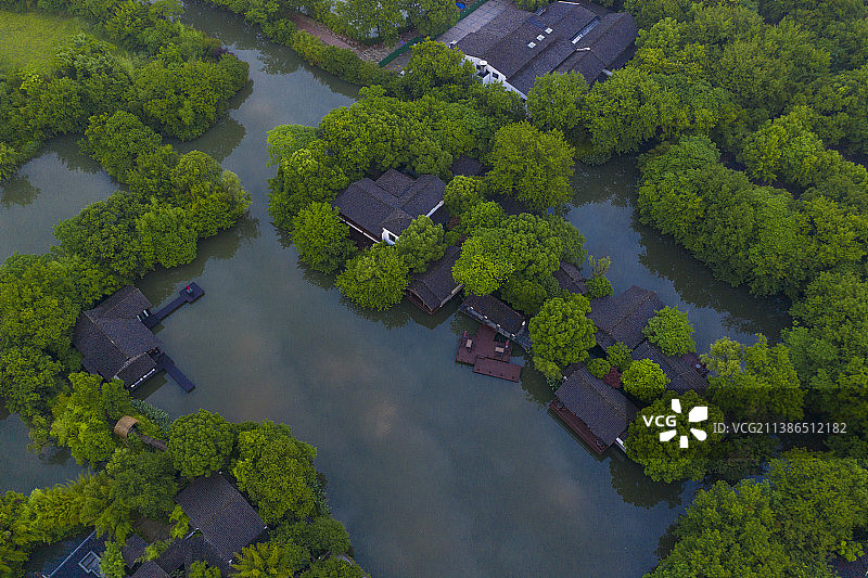 杭州·西溪湿地国家公园初夏晨曦图片素材