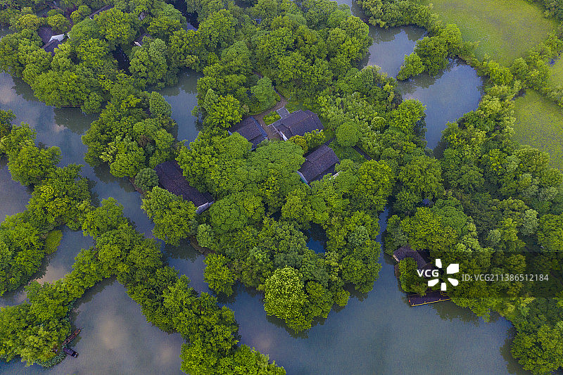 杭州·西溪湿地国家公园初夏晨曦图片素材