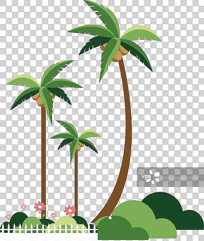 椰子树图片素材