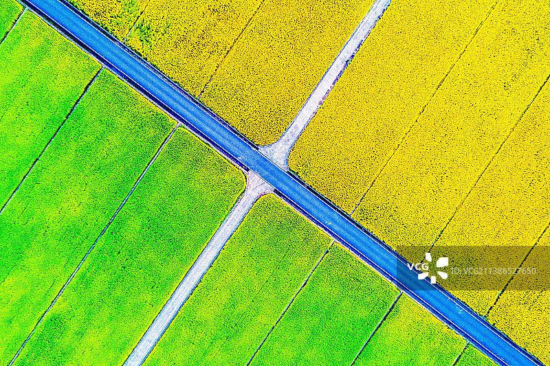 《广西玉林五彩田园》图片素材