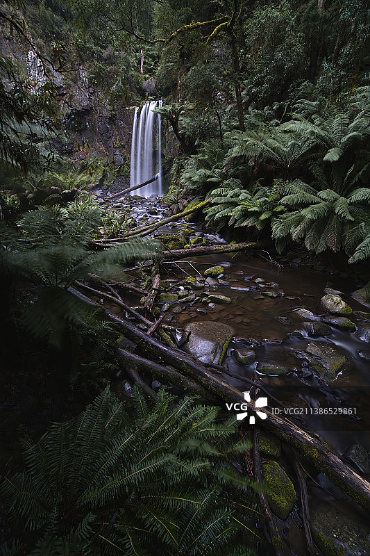 澳大利亚维多利亚州大奥特威国家公园森林瀑布的风景图片素材