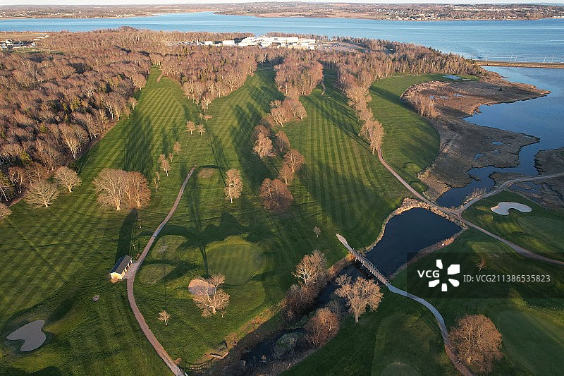 天空下的景观树木高角度景观图片素材