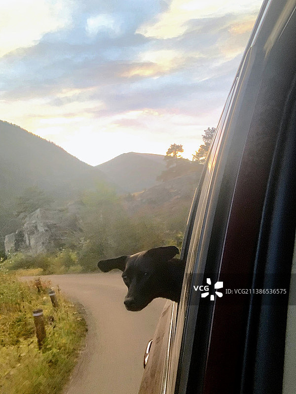 黑色狗在车窗边对着天空吹风的肖像图片素材