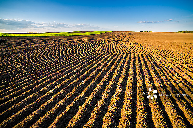 塞尔维亚临时农作物耕地图片素材