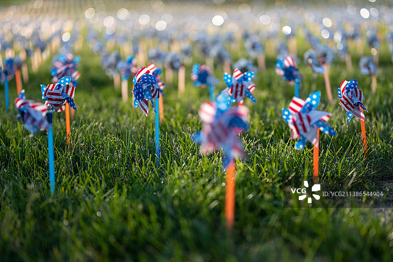 田野上彩色鲜花的特写图片素材