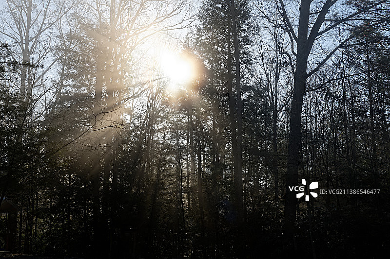 美国西弗吉尼亚州费耶特县新河峡国家公园保护区纳托尔停车场的阳光图片素材