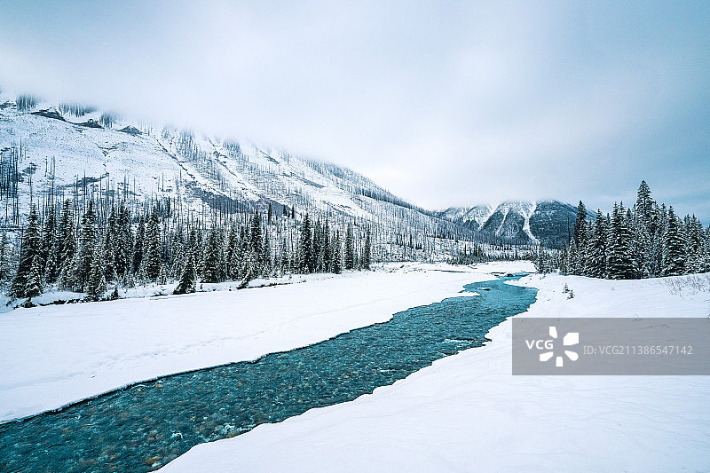 加拿大班夫国家公园冬季雪景图片素材