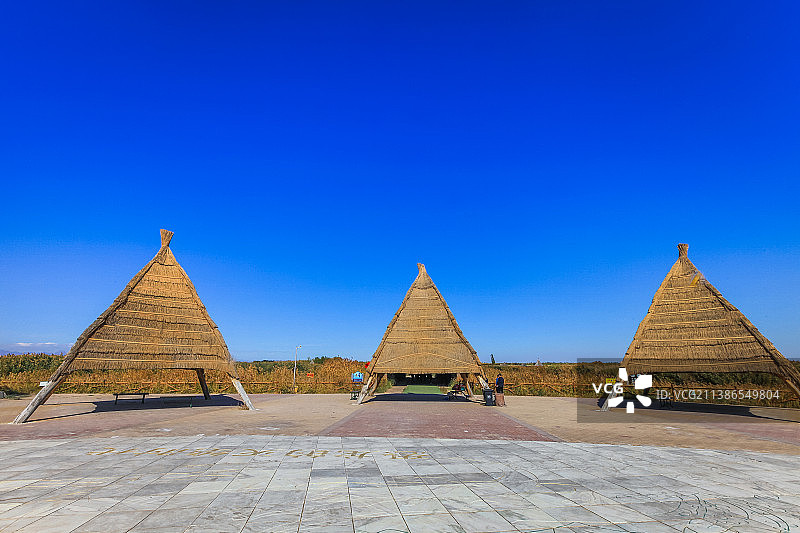 内蒙古巴彦淖尔市磴口县纳林湖景区秋季芦苇荡图片素材