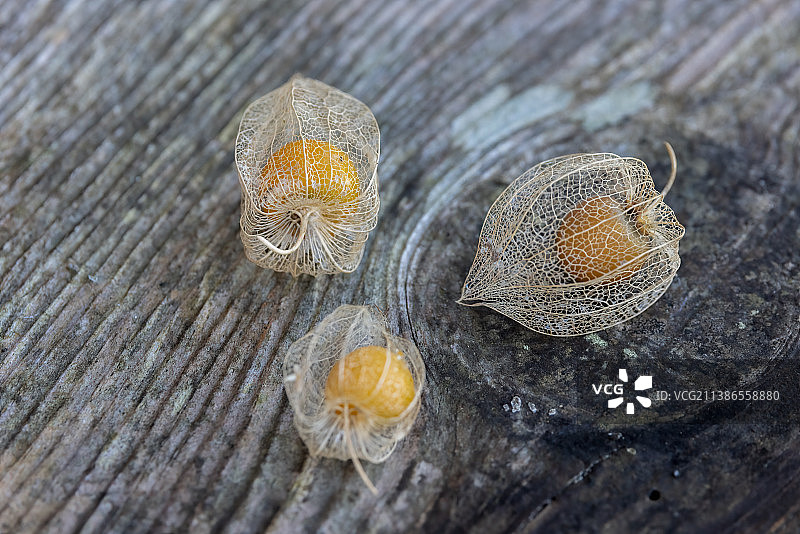 高角度拍摄的醋栗果实图片素材